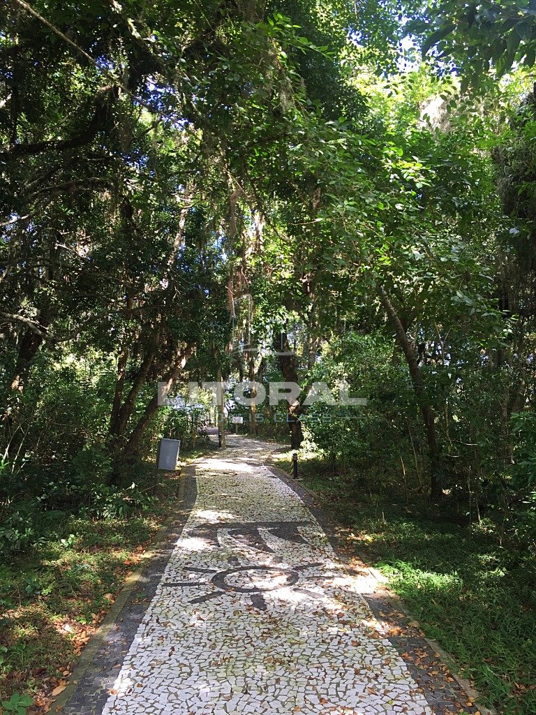 Foto 14 — Velas da Marina