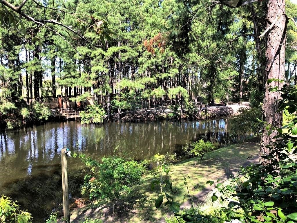 Foto 6 — Casa em Condomínio 3 Dormitório(s) Bairro Carmel