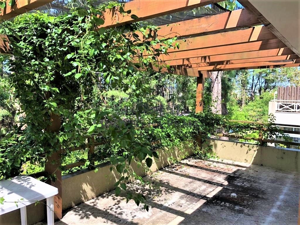 Foto 3 — Casa em Condomínio 3 Dormitório(s) Bairro Carmel